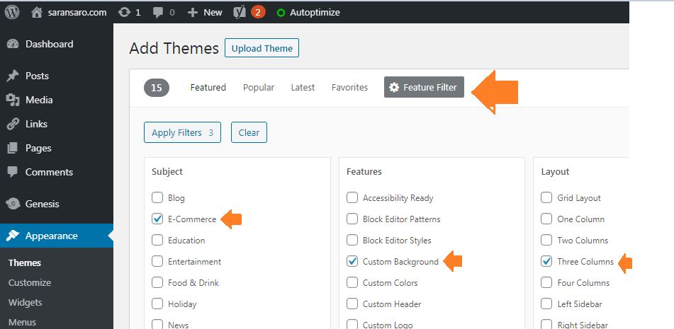 Select Theme features